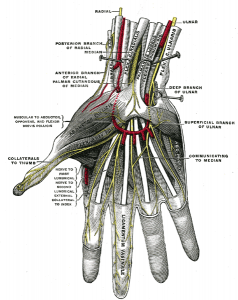 Carpal Tunnel Syndrome