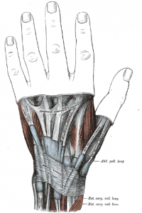 De Quervains Tenosynovitis  2
