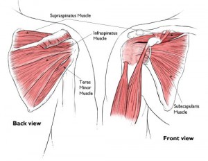 Rotator Cuff (RC) Tear