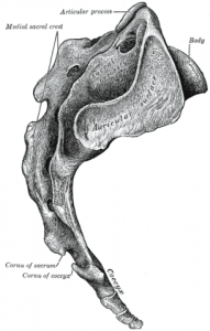 Sacroiliac Joint (SIJ) Pain